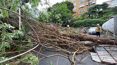 K­a­d­ı­k­ö­y­­d­e­ ­d­e­v­r­i­l­e­n­ ­a­ğ­a­ç­ ­2­ ­o­t­o­m­o­b­i­l­e­ ­z­a­r­a­r­ ­v­e­r­d­i­